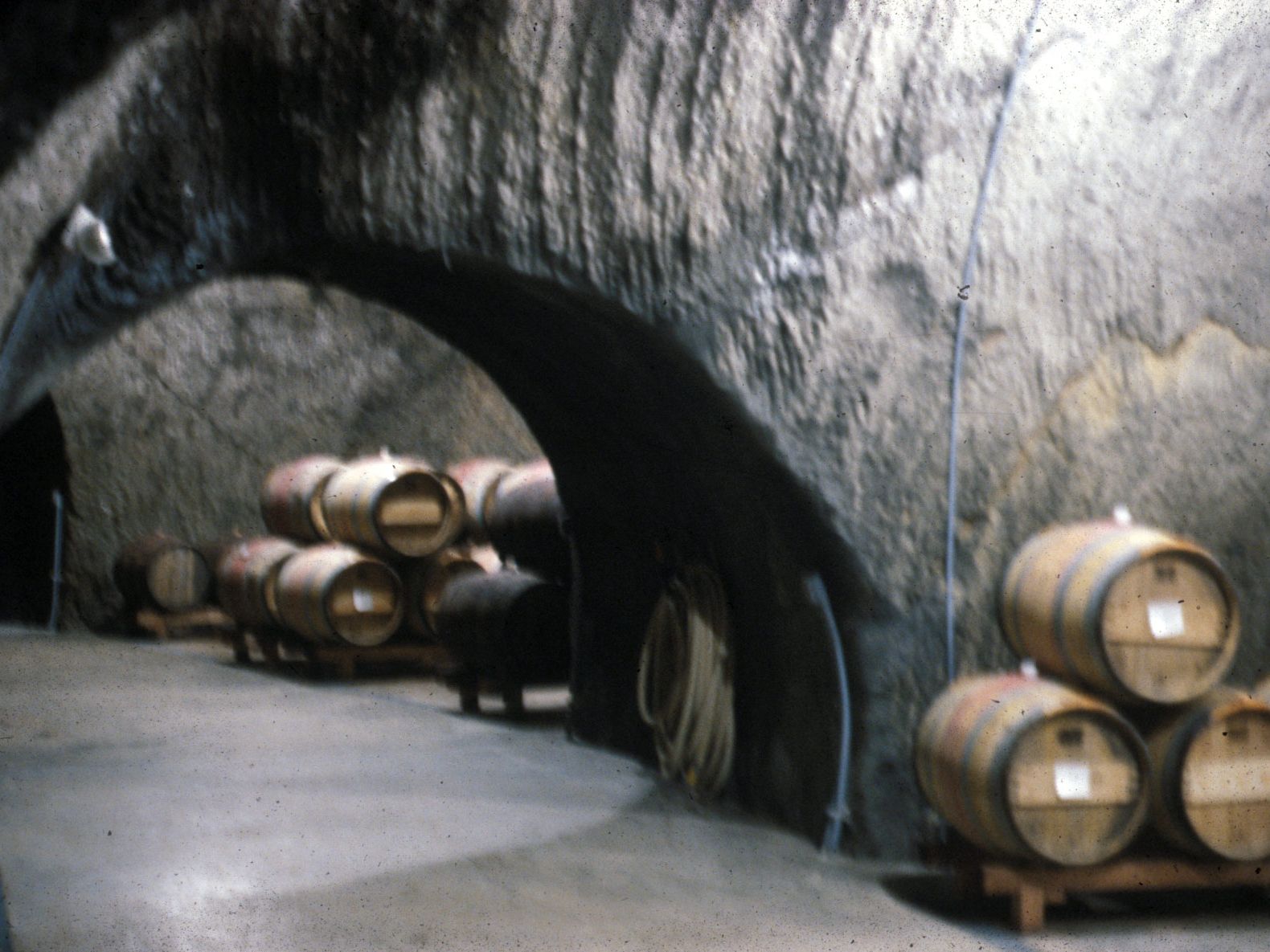 Carmenet Winery