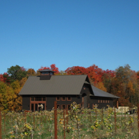 Selin and Selin Architecture - Shelburne