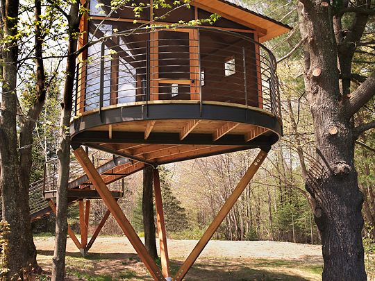 Tree House