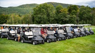 Group of Golf Carts