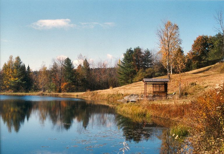 Gazebo on a pond