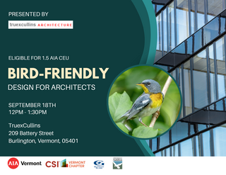 Bird-Friendly Design for Architects