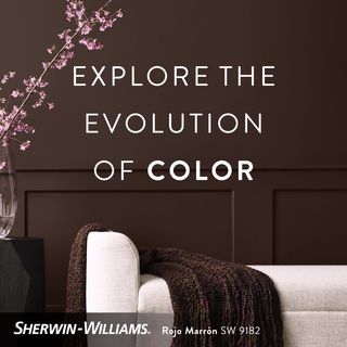 Colormix Forecast 2026  - Anthology Vol 2 